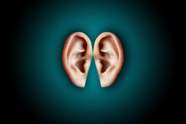 The Mystery of Tinnitus: Understanding the Buzzing Within